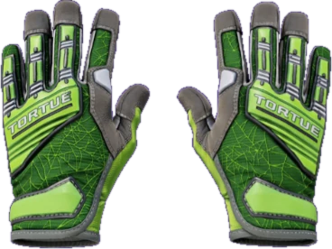 Specialist Gloves Emerald Web CS2 skin reference image