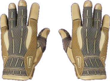 Sport Gloves Arid CS2 skin reference image