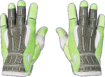 Sport Gloves Hedge Maze CS2 skin reference image